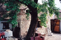 2011 Mikulov - Statek